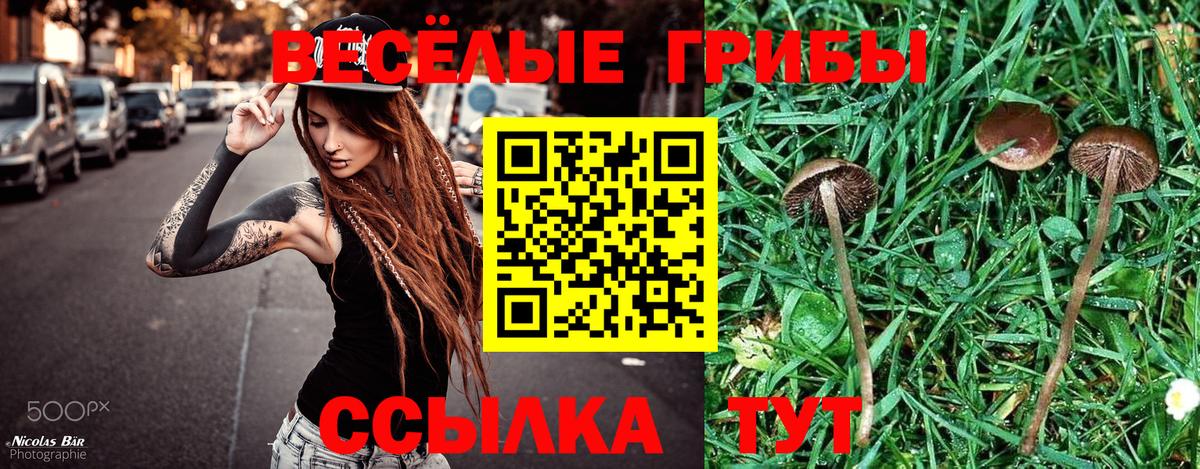 Благодарный  Псилоцибиновые грибы Psilocybe  Вход с VPN 